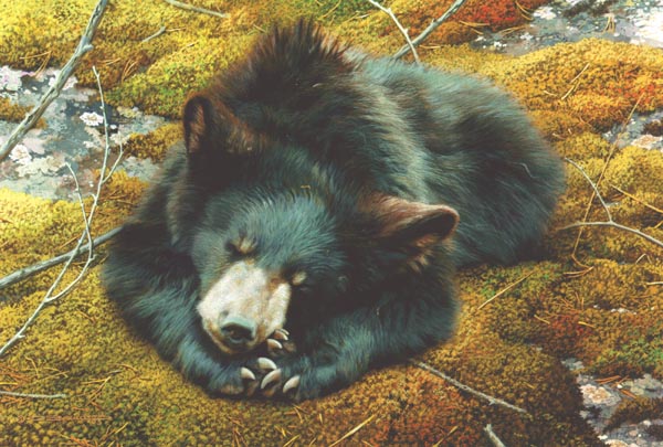 (image for) Handmade oil painting Copy paintings of famous artists Carl Brenders Paintings Bearly Asleep